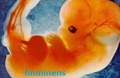 abortus imminens nedir