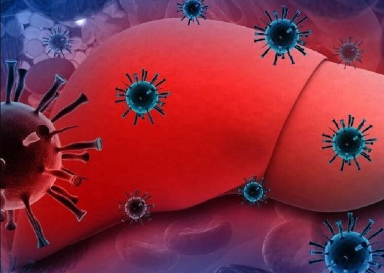 hepatit bulasma yollari