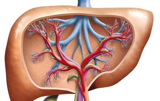 alkole bagli siroz nedir