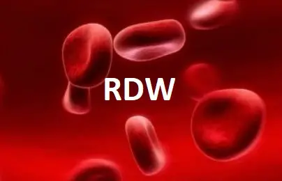 rdw nedir tıp