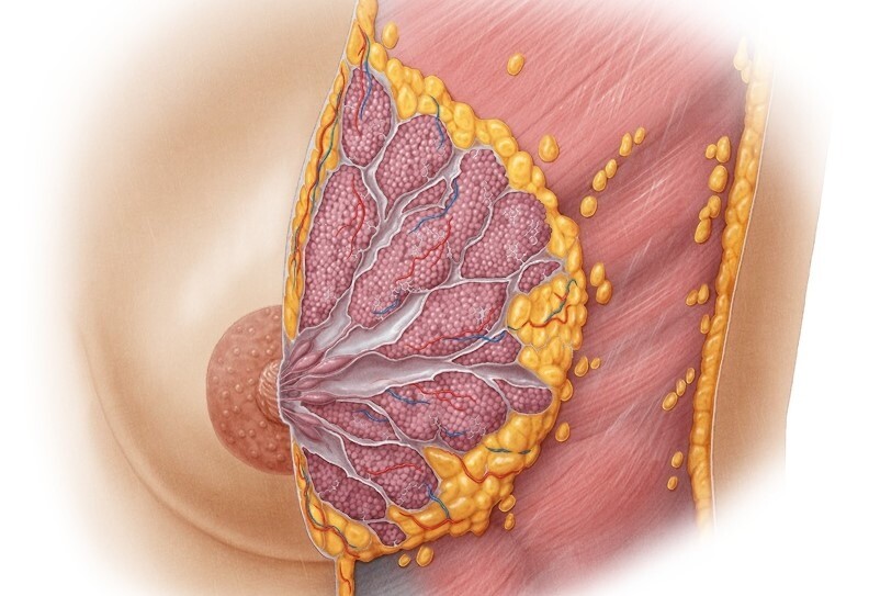 meme agrisina hangi bolum bakar