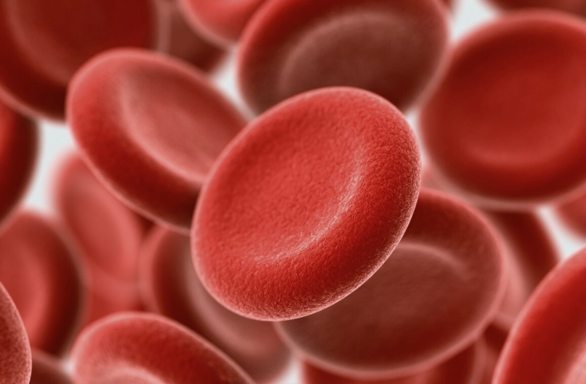 ferroportin hastaligi nedenleri ve tedavisi