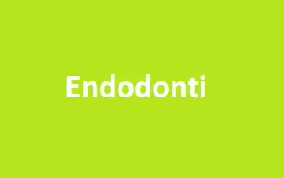 endodonti neye bakar