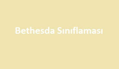bethesda klasifikasyonu