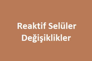 reaktif selüler değişiklikler