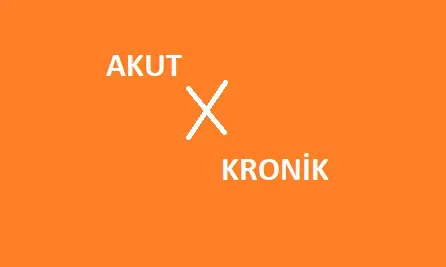 akut kronik ne demektir