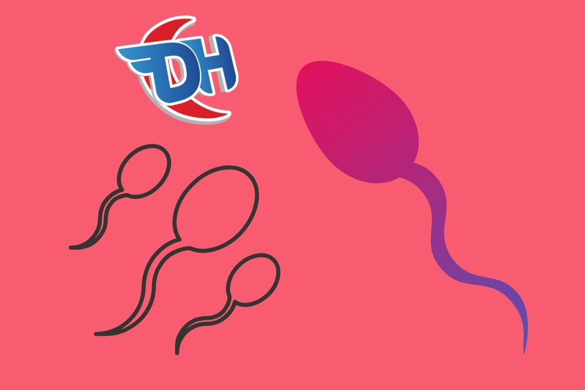 spermin sıvı gelmesi